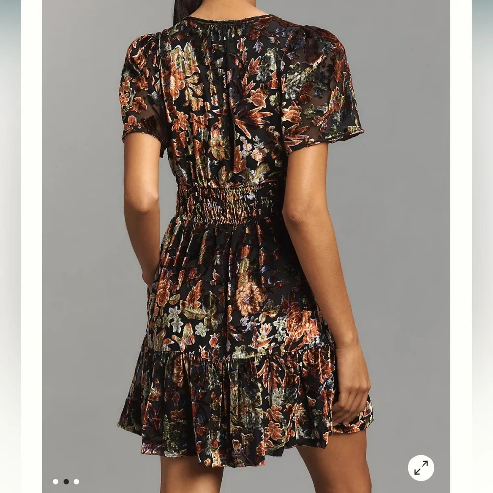 NWT Anthropologie Somerset Floral Velvet Mini Dress Size Small Boho Fall Event - Picture 2 of 14